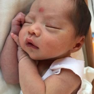 Meet your Posher, Alvin